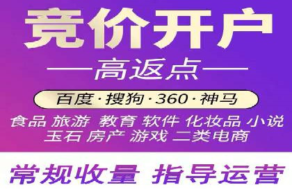 行业领先的SEM投放效果案例解析